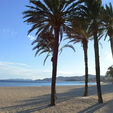 Roses Lauriers *
